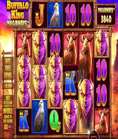 Gioca a Buffalo King Megaways, la slot online di Pragmatic Play gratis | casinoitalian.online