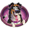 cagna