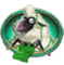pecora