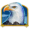 aquila